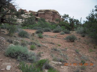 95 8mj. Canyonlands National Park - Needles - Elephant Hill + Chesler Park hike