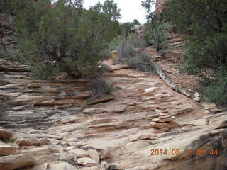 97 8mj. Canyonlands National Park - Needles - Elephant Hill + Chesler Park hike