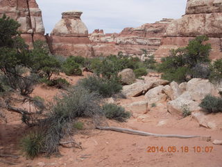 118 8mj. Canyonlands National Park - Needles - Elephant Hill + Chesler Park hike