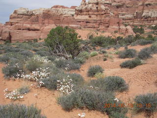 124 8mj. Canyonlands National Park - Needles - Elephant Hill + Chesler Park hike