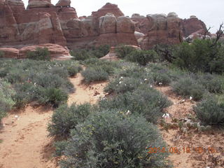 125 8mj. Canyonlands National Park - Needles - Elephant Hill + Chesler Park hike