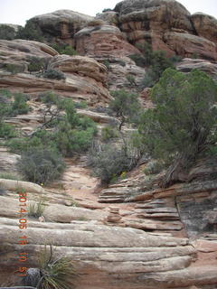151 8mj. Canyonlands National Park - Needles - Elephant Hill + Chesler Park hike
