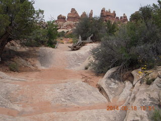 152 8mj. Canyonlands National Park - Needles - Elephant Hill + Chesler Park hike