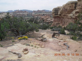 155 8mj. Canyonlands National Park - Needles - Elephant Hill + Chesler Park hike