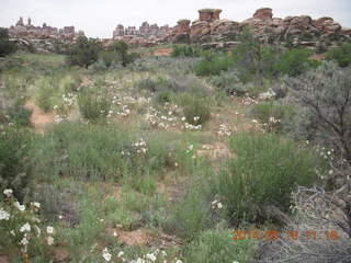165 8mj. Canyonlands National Park - Needles - Elephant Hill + Chesler Park hike