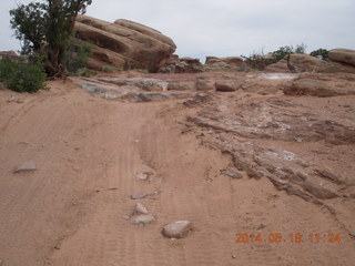 174 8mj. Canyonlands National Park - Needles - Elephant Hill + Chesler Park hike