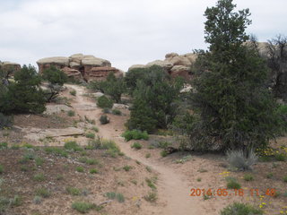 191 8mj. Canyonlands National Park - Needles - Elephant Hill + Chesler Park hike