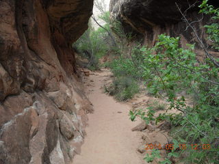 215 8mj. Canyonlands National Park - Needles - Elephant Hill + Chesler Park hike
