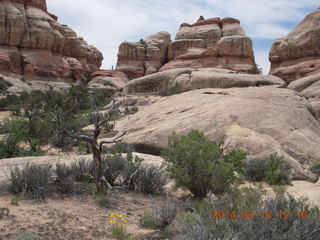 241 8mj. Canyonlands National Park - Needles - Elephant Hill + Chesler Park hike
