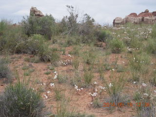 255 8mj. Canyonlands National Park - Needles - Elephant Hill + Chesler Park hike