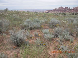 259 8mj. Canyonlands National Park - Needles - Elephant Hill + Chesler Park hike