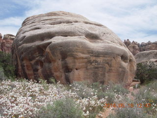 264 8mj. Canyonlands National Park - Needles - Elephant Hill + Chesler Park hike