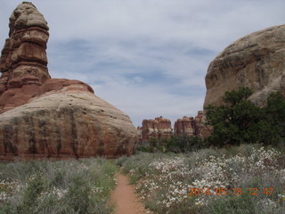267 8mj. Canyonlands National Park - Needles - Elephant Hill + Chesler Park hike