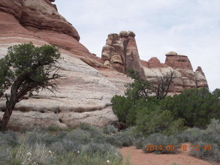 273 8mj. Canyonlands National Park - Needles - Elephant Hill + Chesler Park hike