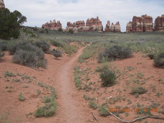274 8mj. Canyonlands National Park - Needles - Elephant Hill + Chesler Park hike