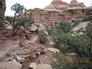 330 8mj. Canyonlands National Park - Needles - Elephant Hill + Chesler Park hike