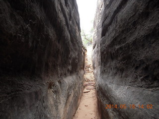 337 8mj. Canyonlands National Park - Needles - Elephant Hill + Chesler Park hike - slot or fissure