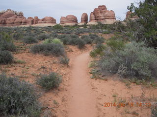 343 8mj. Canyonlands National Park - Needles - Elephant Hill + Chesler Park hike