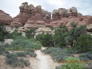 344 8mj. Canyonlands National Park - Needles - Elephant Hill + Chesler Park hike
