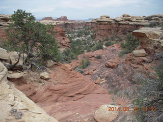 347 8mj. Canyonlands National Park - Needles - Elephant Hill + Chesler Park hike