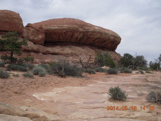 351 8mj. Canyonlands National Park - Needles - Elephant Hill + Chesler Park hike