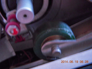 Michelle S taking a picture