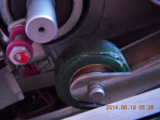 Michelle S taking a picture