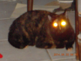 my new GoPro rig on my left wing