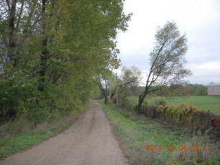 Adam running in Minnesota