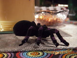 fake spider at HOA party