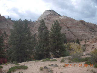 42 8t1. Zion National Park