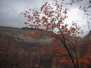 55 8t1. Zion National Park - Observation Point hike