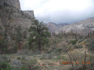 67 8t1. Zion National Park - Observation Point hike