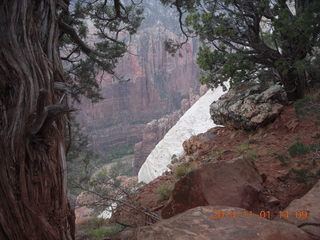 102 8t1. Zion National Park - Observation Point hike - summit