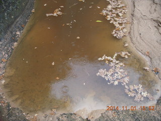 120 8t1. Zion National Park - Observation Point hike - rain on pool