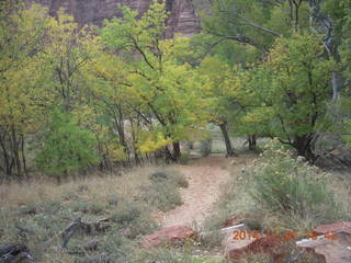 138 8t1. Zion National Park