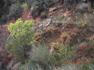 12 8t2. Zion National Park - Watchman hike