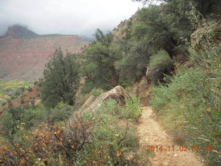 33 8t2. Zion National Park - Watchman hike