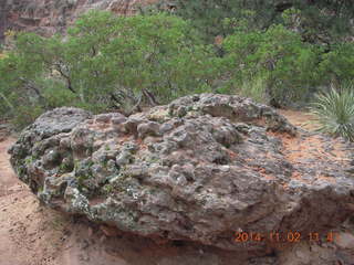 108 8t2. Zion National Park - Scouts Lookout