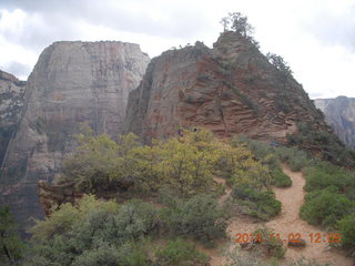 116 8t2. Zion National Park - West Rim hike