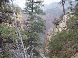117 8t2. Zion National Park - West Rim hike