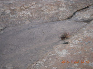 130 8t2. Zion National Park - West Rim hike
