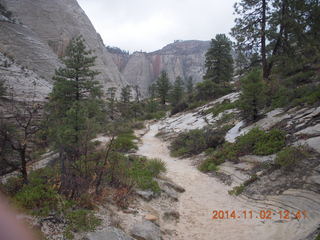 131 8t2. Zion National Park - West Rim hike