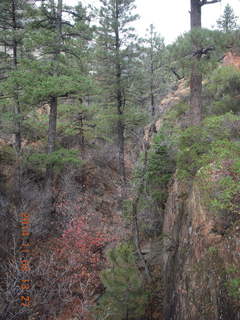 150 8t2. Zion National Park - West Rim hike