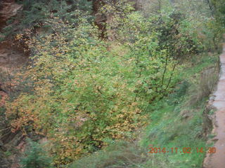169 8t2. Zion National Park - down from Angels Landing