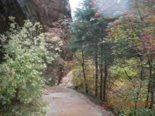 170 8t2. Zion National Park - down from Angels Landing