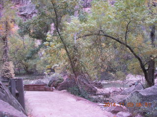 6 8t3. Zion National Park - dawn Riverwalk