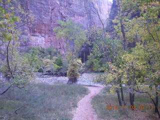 29 8t3. Zion National Park - dawn Riverwalk