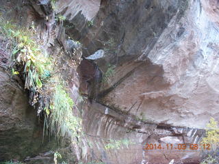 64 8t3. Zion National Park - Emerald Ponds hike