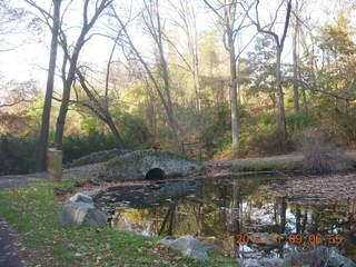Curtis Arboretum - fall foliage - stone bridge